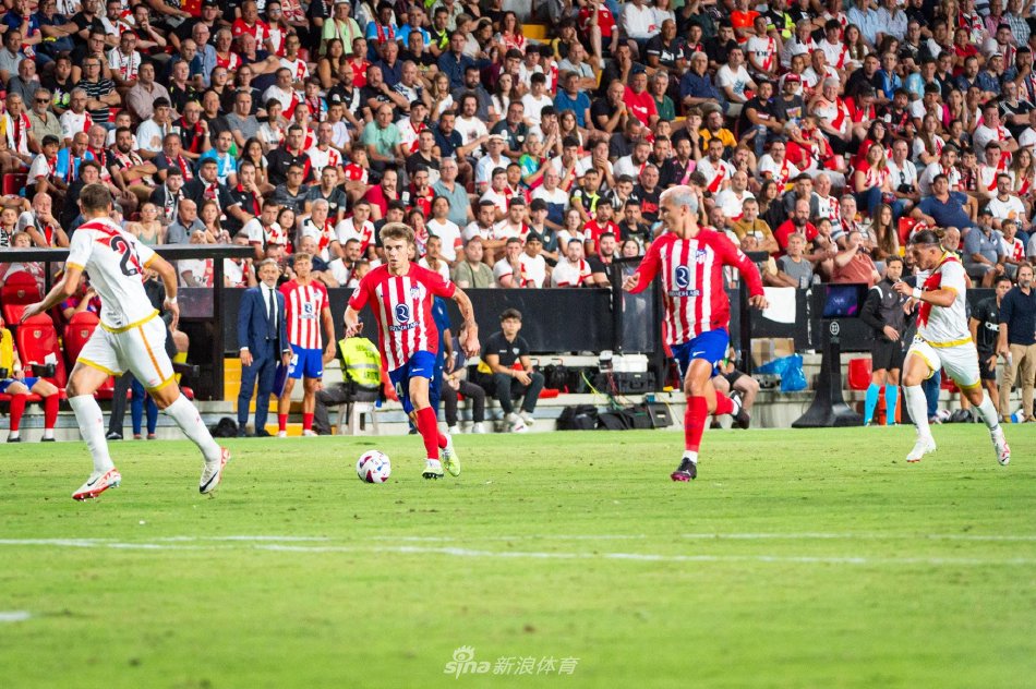 公众人物的 公众人物的