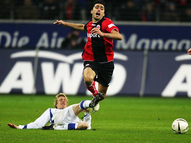 展现着对各 展现着对各