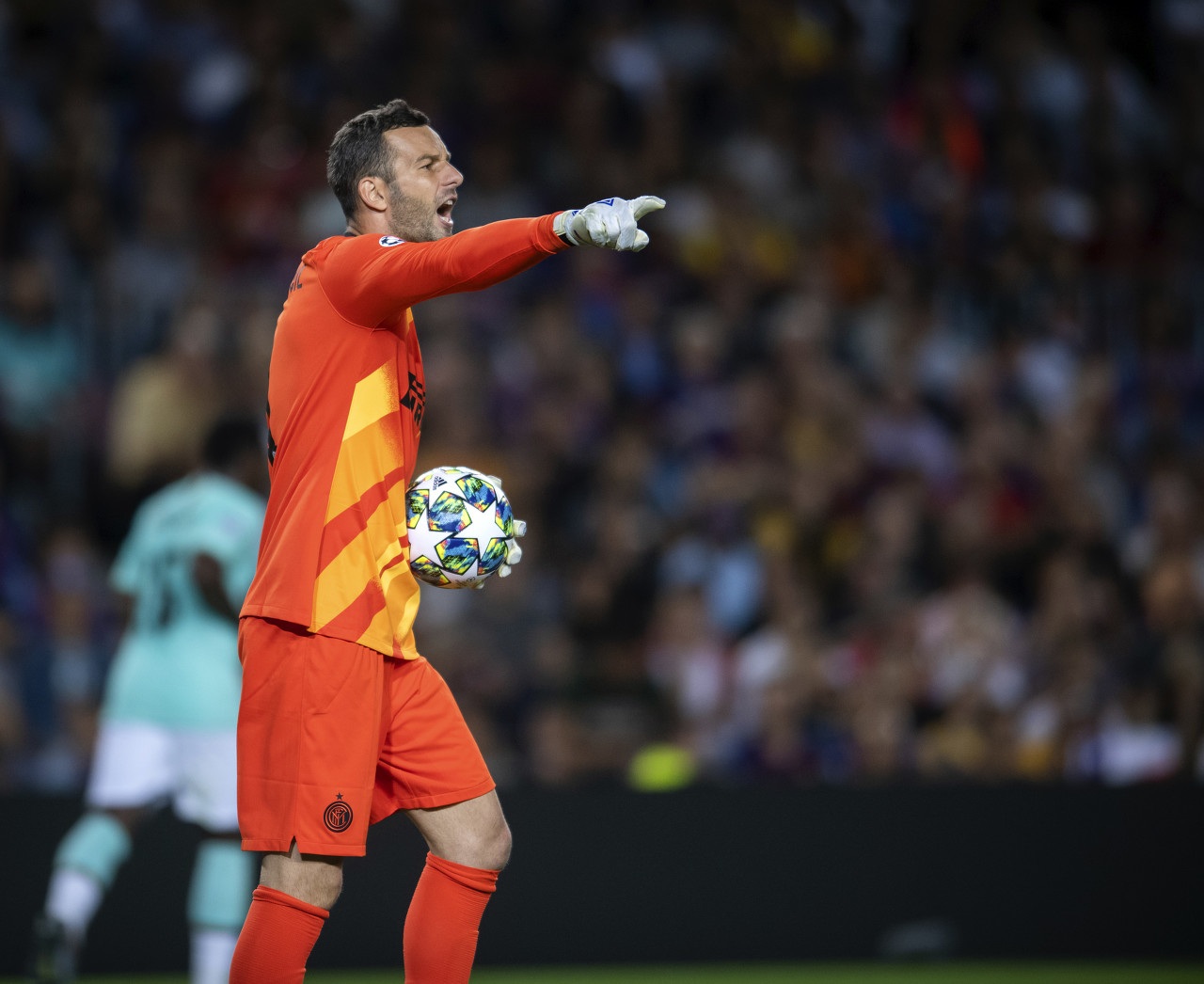 多支球队处 多支球队处